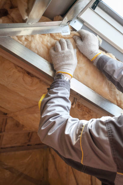 Types of Insulation We Offer in Evanston, IL