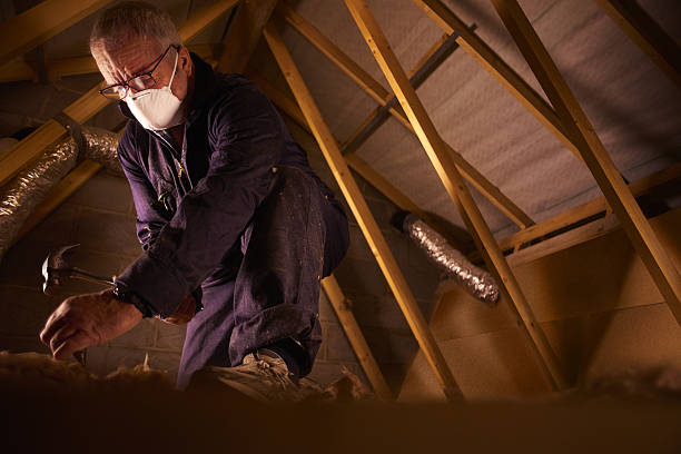 Types of Insulation We Offer in Evanston, IL